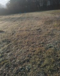 Продаж земельної ділянки сільськогосподарського призначення фото 5 Продаж земельної ділянки сільськогосподарського призначення фото 5