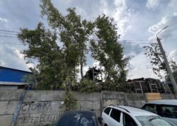 ������ �������� ������ ������������ ����������� �� ���. �������� ���� 7