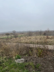 Земельна ділянка. Земля. фото 6 Земельна ділянка. Земля. фото 6