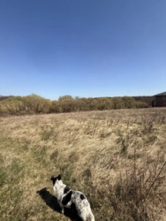 �������� ������ ��� ������ ���� 4