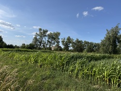 🌿 Продаж земельної ділянки зі зручним під'їздом! фото 1 🌿 Продаж земельної ділянки зі зручним під'їздом! фото 1
