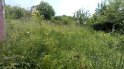 �������� �������� ������ � ������� ���������� ������. ���� 5