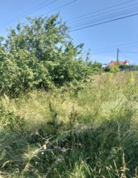Продаж земельної ділянки під житлову забудову фото 3 Продаж земельної ділянки під житлову забудову фото 3