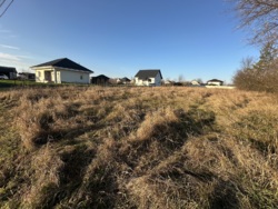 ������ ������ � ���������� ���� 12