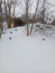 ������ �������� ������. ���� 13