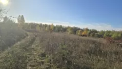   2.5  1