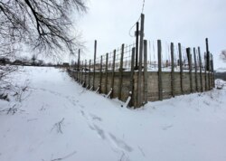 ������ �������� ������ � �������� ���� 18