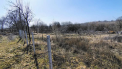 �������� ������ � ��� ������� ³������� �����. 39 �����.. ���� 4