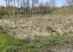 Продається земельна ділянка у Гавришівці фото 9 Продається земельна ділянка у Гавришівці фото 9
