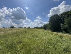 🌿 Продаж земельної ділянки 53 сотки | с. Лукашівка фото 6 🌿 Продаж земельної ділянки 53 сотки | с. Лукашівка фото 6