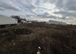 ������ �������� ������ ������������ ����������� ���� 8