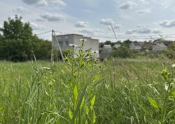 ������ �������� ������ �� ������� �������� �� ���. ���������� ���� 6