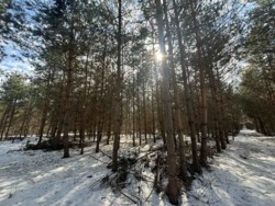 ������ �������� ������ ������ 4 ������� ��������������������� ����������� � ������� ������� ���� � �������� ���� 2