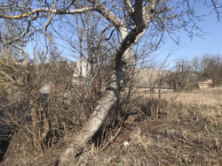 ĳ����� ��������. ���� 6