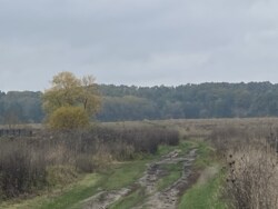 Продаж земельної ділянки в селі Селище фото 4 Продаж земельної ділянки в селі Селище фото 4