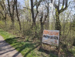 Продаж комерційноі ділянки в Ксаверівці. фото 8 Продаж комерційноі ділянки в Ксаверівці. фото 8