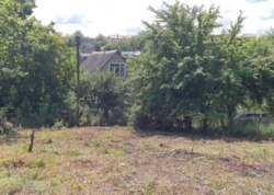 ������ �������� ������ �� ������� �������� ���� 3