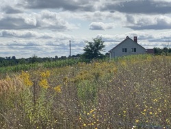 ������ ������ 20 ��� � ��������� ���� 12