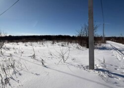 ������ �������� ������ ��������� (��������) ���� 1