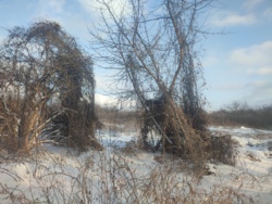 Продається ділянка в Агрономічному фото 2 Продається ділянка в Агрономічному фото 2