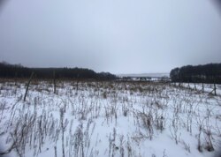 Продаж земельної ділянки сільськогосподарського призначення, на вул. Лесі Українки фото 4 Продаж земельної ділянки сільськогосподарського призначення, на вул. Лесі Українки фото 4