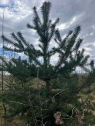 ĳ����� �� ��������!. ���� 3