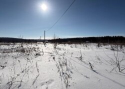 ������ �������� ������ ��������� (��������) ���� 5