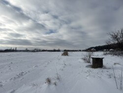 ������ ������ �� ������� �������� �.������� ���� 2