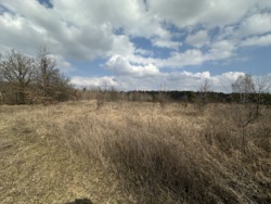 ������ ������ � �������� ���� 6