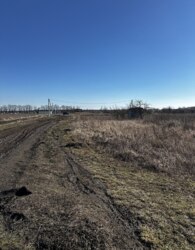 ������ �������� ������ �� ������� �������� ���� 13