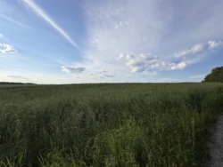 Продаж паю в Березині фото 2 Продаж паю в Березині фото 2