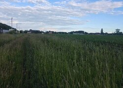 Продаж земельної ділянки під житлову забудову фото 3 Продаж земельної ділянки під житлову забудову фото 3