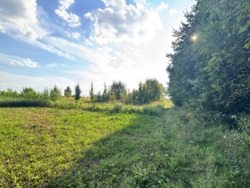 ĳ����� �������� ���� 7