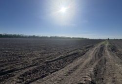 Продається ділянка Задворного, Вінниця, Вінницька, Передмістя, Гавришівка фото 4 Продається ділянка Задворного, Вінниця, Вінницька, Передмістя, Гавришівка фото 4