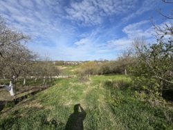 🏡 ������ �������� ������ �� ������� �������� � 29,33 ����� ���� 6