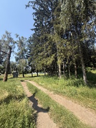 Продається ділянка Тростянець, Тиврівський, Вінницька фото 15 Продається ділянка Тростянець, Тиврівський, Вінницька фото 15