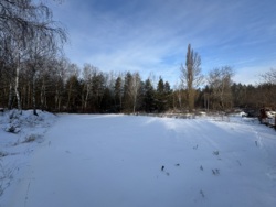 ������ �������� ������ � �. ������ � 20 ����� ��� ��� 🌲 ���� 1