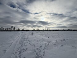 ������ ������ �� ������� �������� �.������� ���� 5