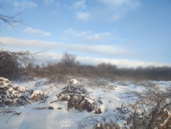 ��������� ������ ³�������, ³�����, ���������, ����������, 7 �������� �������� ���� 5