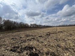 ������ �������� ������ ��������������������� ����������� ���� 5