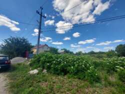 ��������� �������� ������ ������� ���� 5