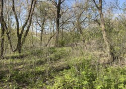 Продається земельна ділянка у Гавришівці фото 8 Продається земельна ділянка у Гавришівці фото 8