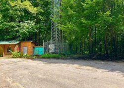 ������ �������� ������ ������������ ����������� �� ���. �������� ���� ���� 20