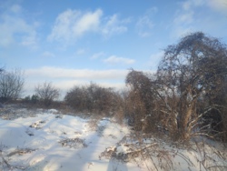 Продається ділянка в Агрономічному фото 3 Продається ділянка в Агрономічному фото 3