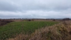 ��������� ������ 15 ����� �� ������� �������� � ���������. ���� 1