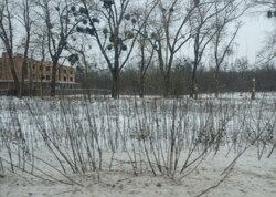 ������ �������� ������ ������������ ����������� ���� 6