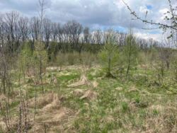 ĳ����� �� ��������!. ���� 2