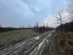 🌿 ������ �������� ������ 10 ����� ������� � �������� ���� ��� ����� �� ����������! ���� 4