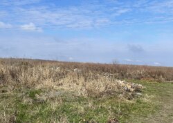 ������ �������� ������ �� ������� ������� ���� 1