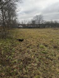 Земельна ділянка. фото 3 Земельна ділянка. фото 3